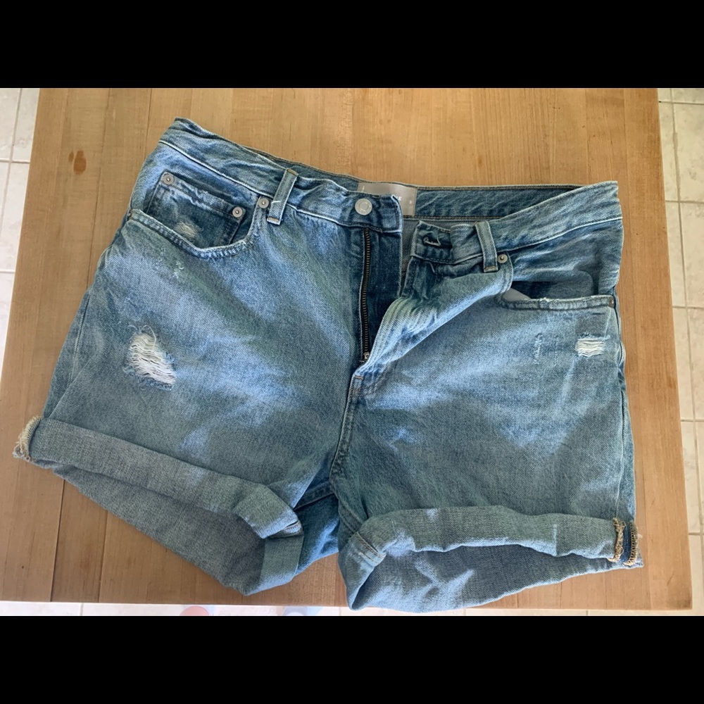 Everlane The Denim Short